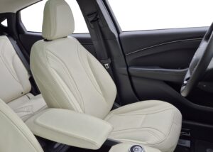 Ford mustang bekleden